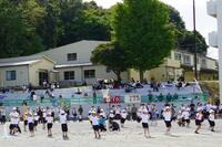 チェッコリ玉入れ②